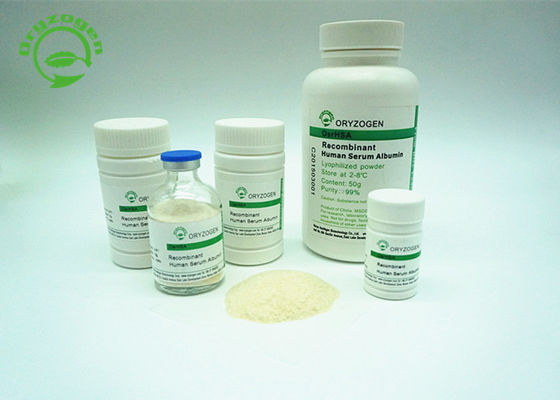 More Than 99% Purity Recombinant Serum Albumin HSA Off White To Light Beige Color Powder