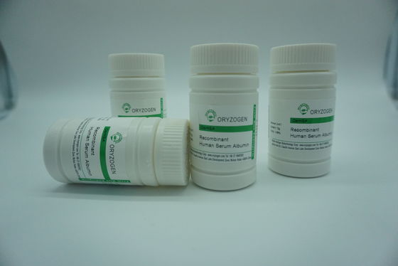 Plant Derived Recombinant HSA OsrHSA Displays The Same Immunogenicity As pHSA