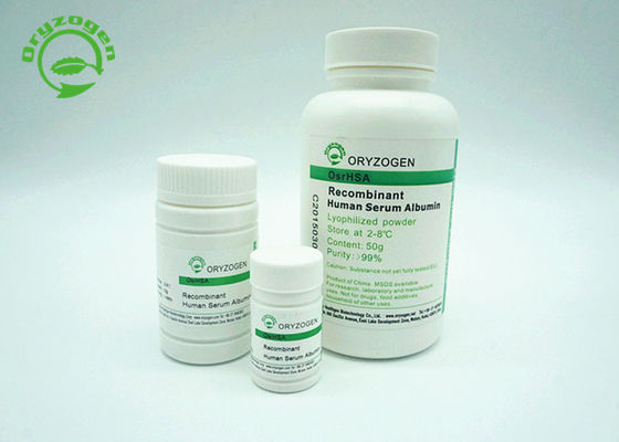 Human Recombinant Serum Albumin HSA White To Light Beige Lyophilized Powder
