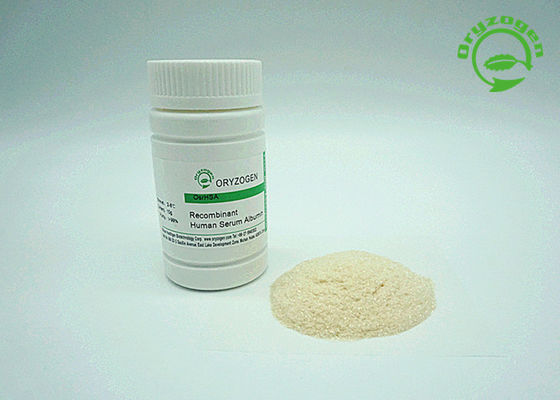Human Recombinant Serum Albumin HSA White To Light Beige Lyophilized Powder