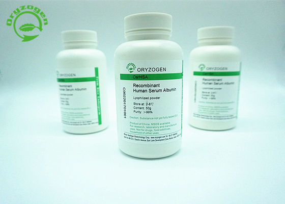 66.5kD Recombinant HSA Has 585 Amino Acids Is Animal Component Free