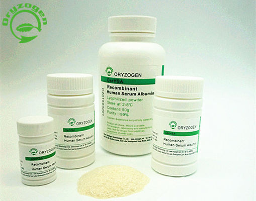 99% Purity Recombinant Serum Albumin HSA Lyophilized Powder Low Endotoxin