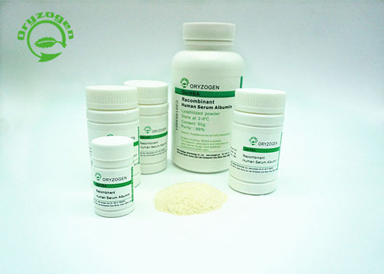 Oryzogen Recombinant HSA From Rice Grain Has Good Batch Consistency 70024-90-7