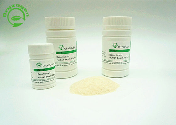 ISO Certificated Recombinant Serum Albumin HSA Derived From Rice Has High Purity