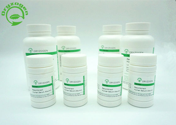 ISO Certificated Recombinant Serum Albumin HSA Derived From Rice Has High Purity