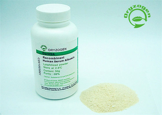 No Stabilizer Recombinant Human Albumin Powder Animal Component Free rHSA