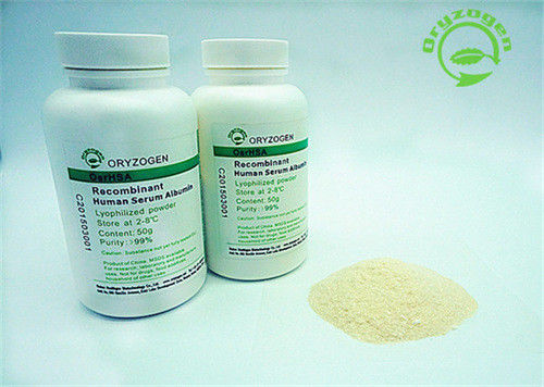 No Human Source Recombinant Human Albumin HSA HYC002M01 Recombinant Protein