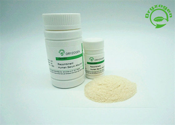 High Purity OsrHSA Powder Recombinant Albumin 65KD Molecular Weight