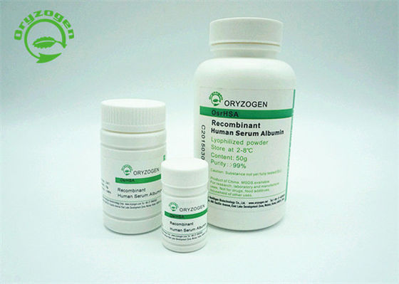 ISO Certificate Recombinant Human Albumin Off - White Powder Compliant With GMP