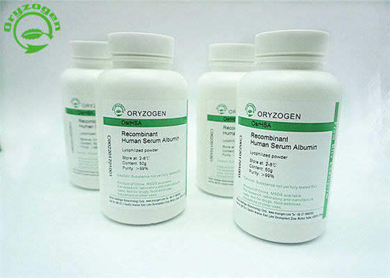 Oryza Sativa Recombinant Human Albumin For Diagnostics CAS No.70024 90 7