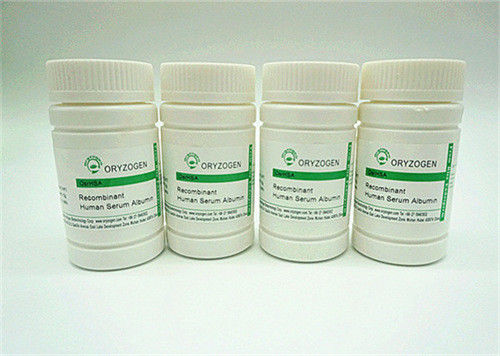 Recombinant Human Serum Albumin Manufacturers For Blocking Reagent