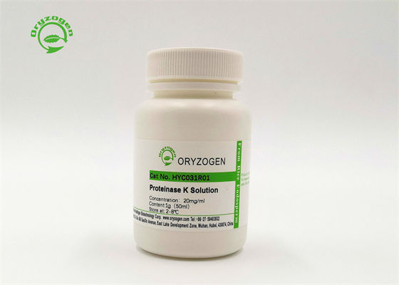ProK Proteinase K Cas Number 39450-01-6 Molecular Biology Grade From Direct Manufacturer