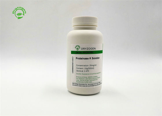 Ready-To-Use High Bioactivity Proteinase K Solution ProK 39450 01 6