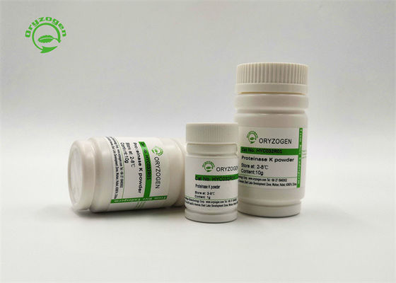 29kD Recombinant Proteinase K Stock Solution 20mg/ml For Automatic Extraction