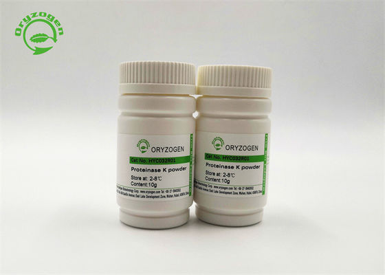 Research Reagent Recombinant Proteinase K Lyophilized Powder HYC032R03
