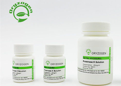 1g 10g 50g 100g Package Recombinant Proteinase K High Quality Lab Reagent
