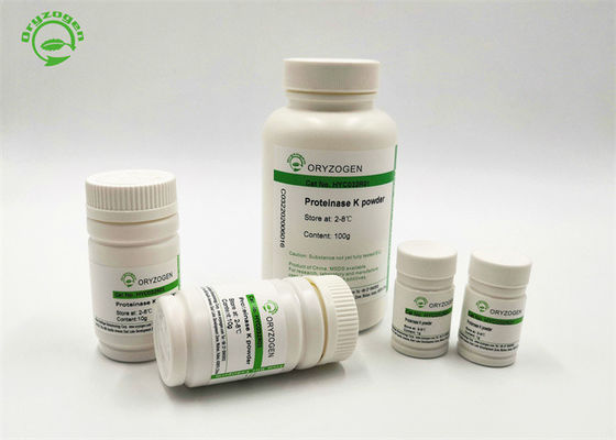 DNA &amp; RNA Purification Enzyme Proteinase K Bulk Supply 39450-01-6