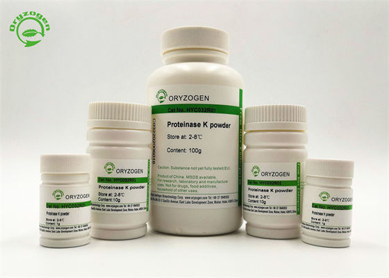 Engyodontium Album Proteinase K Recombinant High Purity 50–100 µg/ML