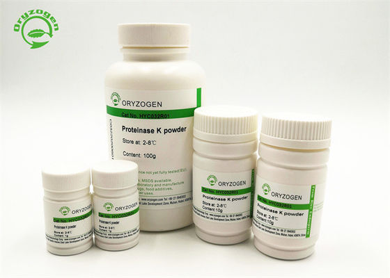 100g DNA Free Proteinase K Extract Nucleic Acids From Various Biological Samples