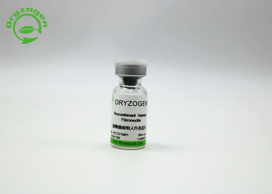Oryzogen Recombinant Fibronectin Enhance Cell Culture Performance 206kD