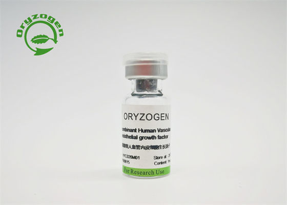 Animal Component Free Recombinant VEGF For Cell Culture