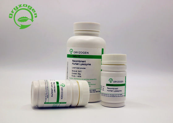 High Purity Recombinant Lysozyme Powder For Antimicrobial Applications 9001-63-2