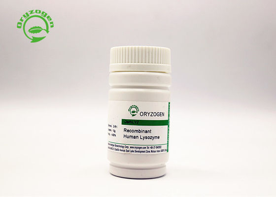 High Purity Recombinant Lysozyme Powder For Antimicrobial Applications 9001-63-2