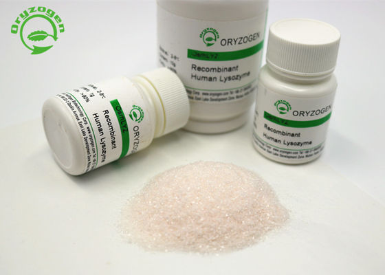 Diarrhea Treatment Recombinant Lysozyme Lyz Lyophilized Powder 50g