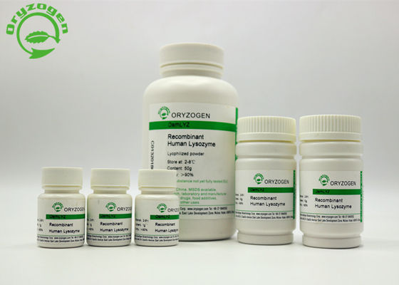 Animal Free Recombinant Lysozyme High Purity 14.7kD Recombinant protein