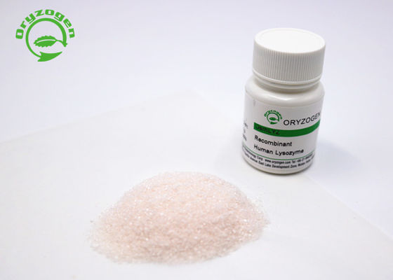 Animal Free Recombinant Lysozyme High Purity 14.7kD Recombinant protein