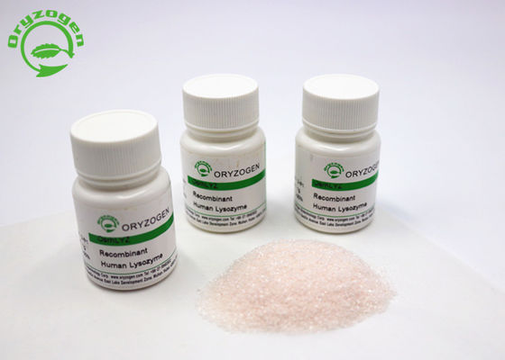 Oryzogen Recombinant Lysozyme Powder From Rice Platform Bulk Supply CAS No 9001-63-2