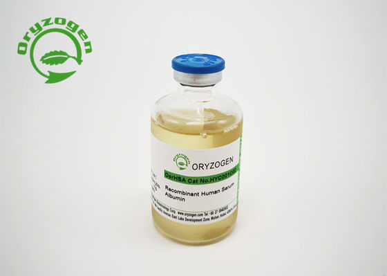 Chemical Defined Recombinant Human Serum Albumin Excipient Grade