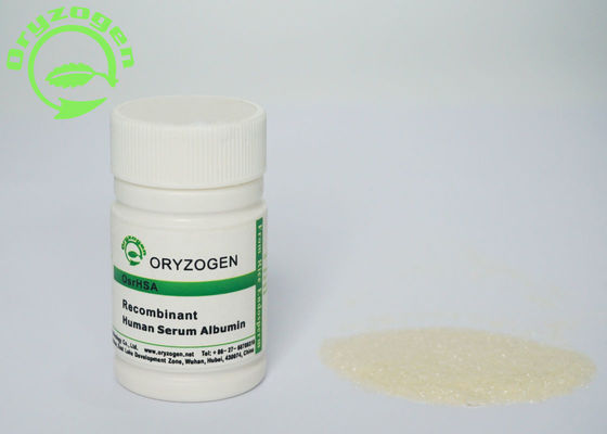 Oryza Sativa OsrHSA Lyophilized Powder ISO9001 Certificated