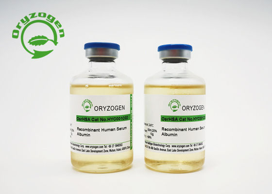 Liquid Rice Grain OsrHSA For MRNA Vaccine Protectant