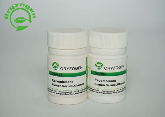 Oryzogen Rice Derived Recombinant Human Serum Albumin CAS 70024-90-7