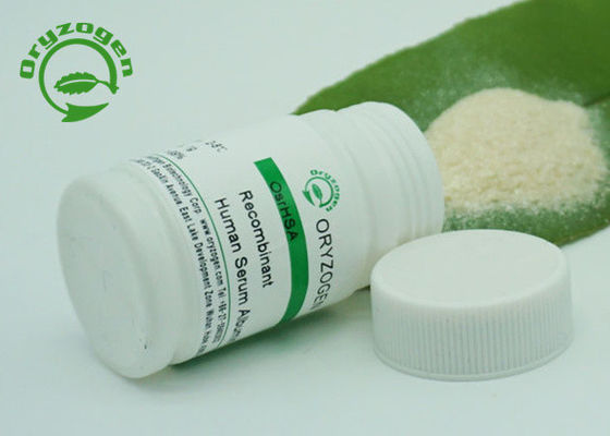 Animal Free Recombinant Serum Albumin For Bio Industry