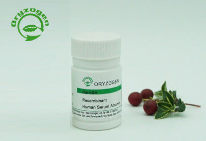 Solid Quality Recombinant Human Serum Albumin Animal Free