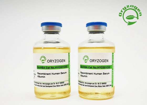 Excipient Grade Recombinant Human Serum Albumin Liquid 50mL With 20% Concentration