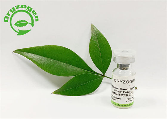 53 Amino Acids 5.3kD Recombinant Human EGF Lyophilized Powder