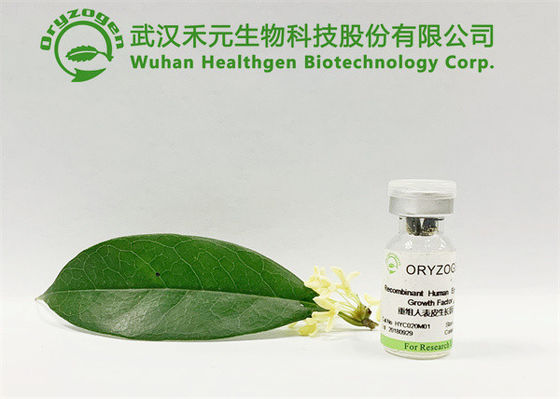 Environmental Friendly EGF Cosmetic Ingredients For Renewing Skin Cell
