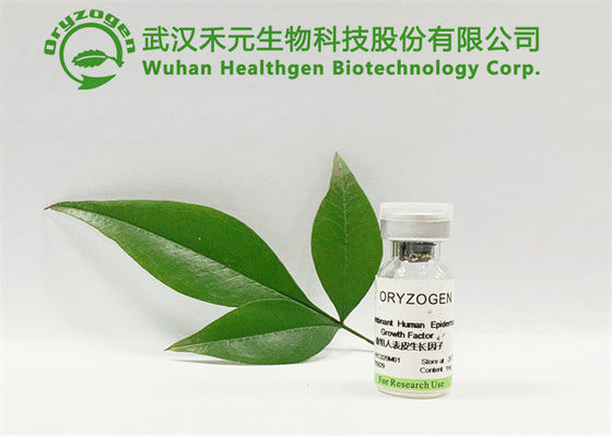Cosmetic Industry White EGF Lyophilized Powder CAS 62229-50-9