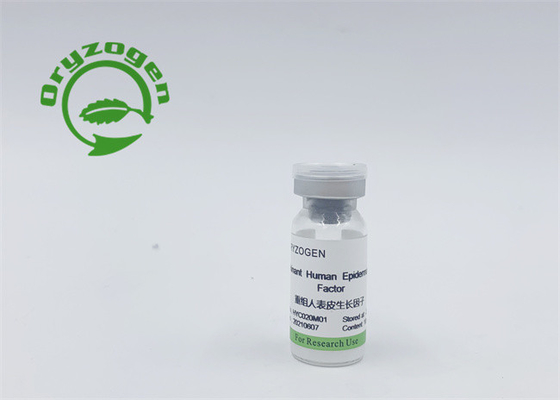 Double Efficacy EGF and bFGF 95% Purity Non Animal Component