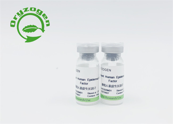 Recombinant EGF Protein bFGF Freeze Dried Powder​