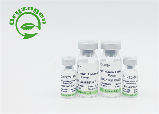 Animal Component Free Recombinant Growth Factor EGF