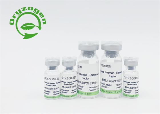 High Purity EGF Lyophilized Powder ISO 9001 Certificated For Beauty Care​