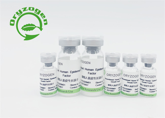High Bioactivity Plant Derived EGF Lyophilized Powder For Skin Renew / Repair