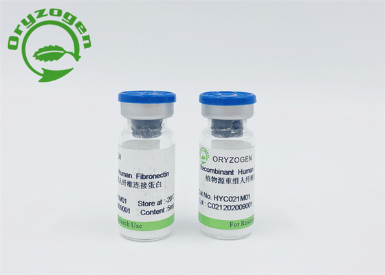 No Skin Allergic Animal Component Free Fibronectin FN