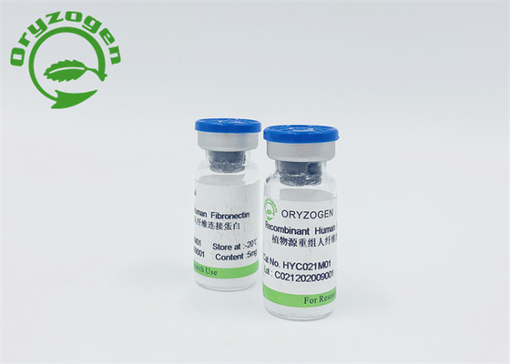 Rice Grain Derived Fibronectin FN With Low Endotoxin