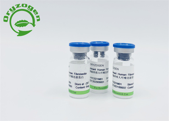 Fibronectin FN Lyophilized Powder For Skin Nourishing