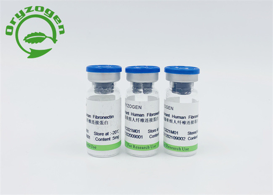 ISO9001 Plant Derived Recombinant Human Fibronectin